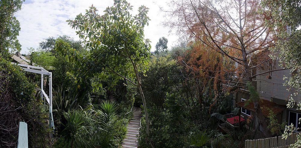 The Bamboo Lodge In Knysna Esterno foto